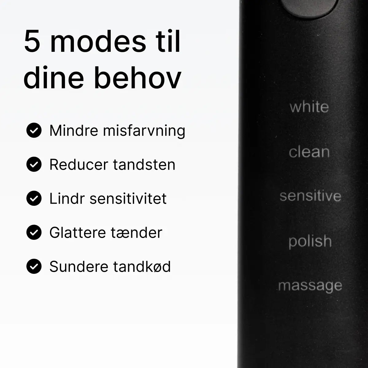 D2 Pro Elektrisk Tandbørste Dentis