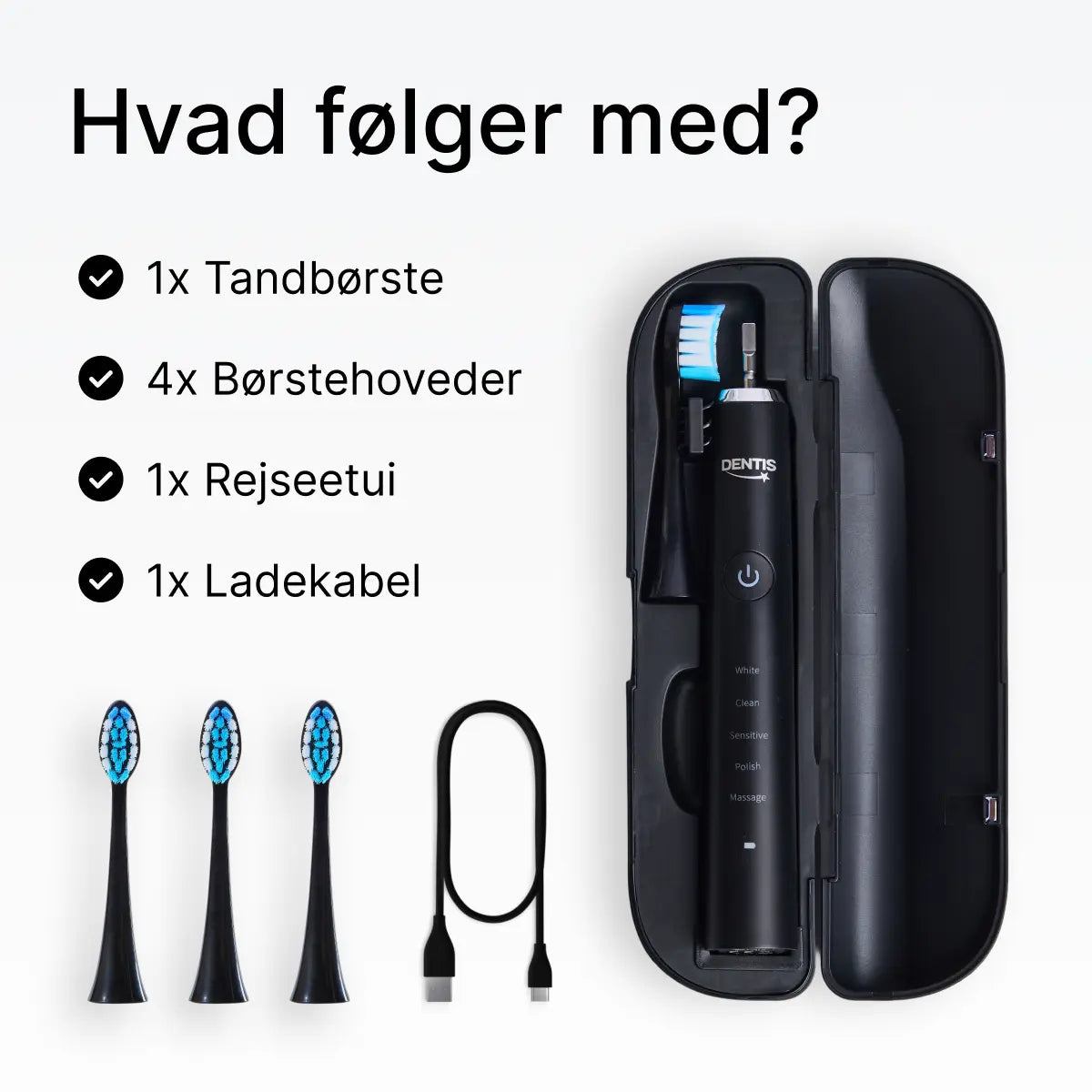 D2 Pro Elektrisk Tandbørste Dentis