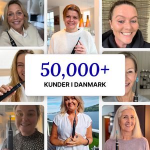 D2 Pro Elektrisk Tandbørste Dentis