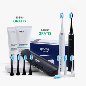 D2 Pro Elektrisk Tandbørste Dentis