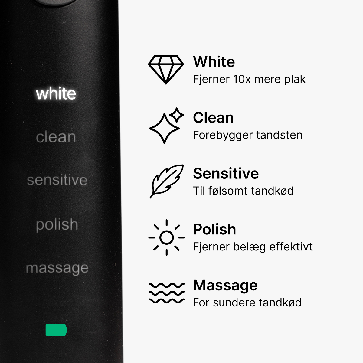 D2 Pro Elektrisk Tandbørste Dentis